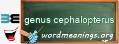 WordMeaning blackboard for genus cephalopterus